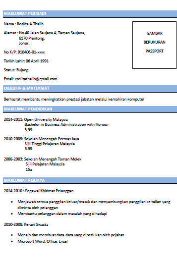 Resume sample singapore pdf